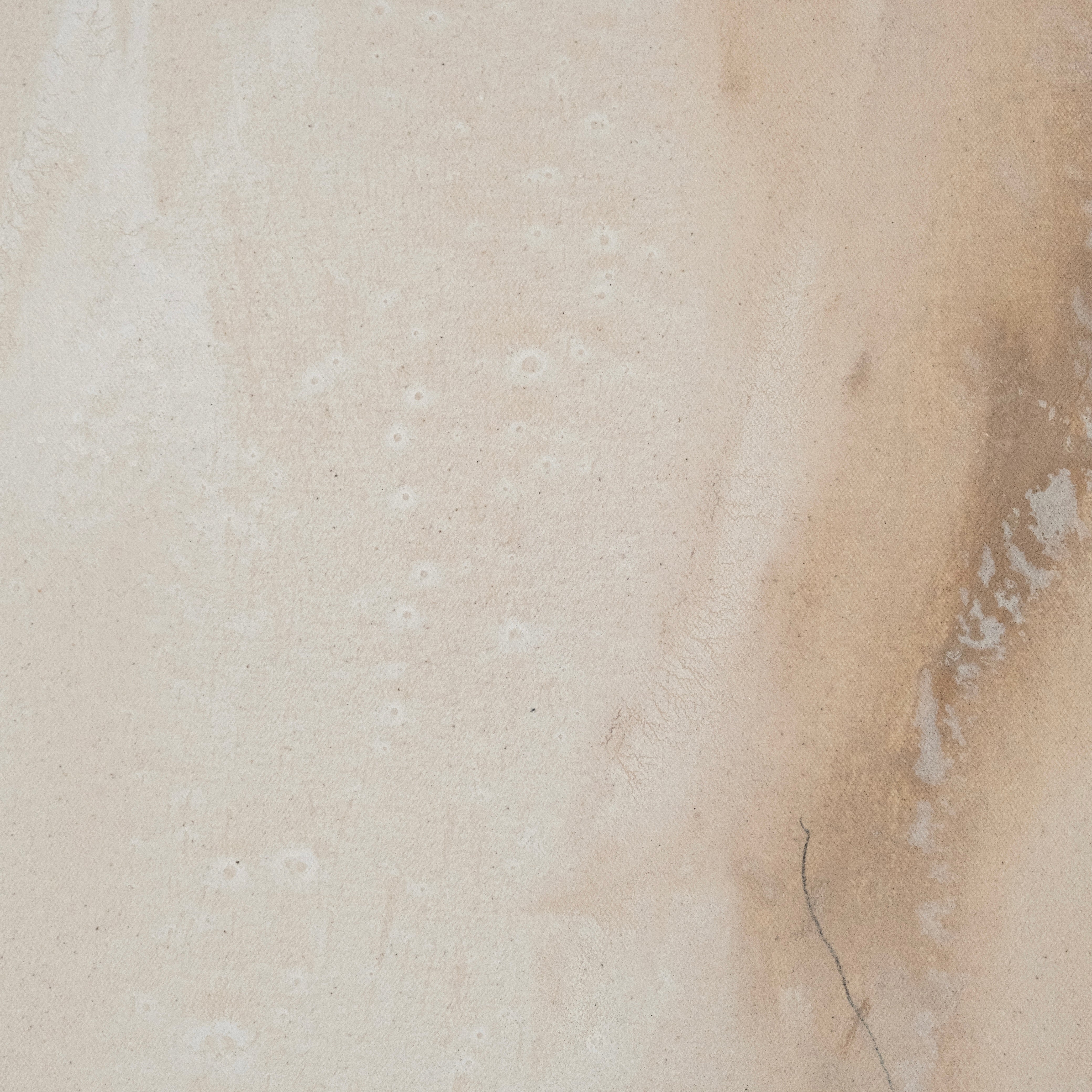 I Met My Peace in Tofino II