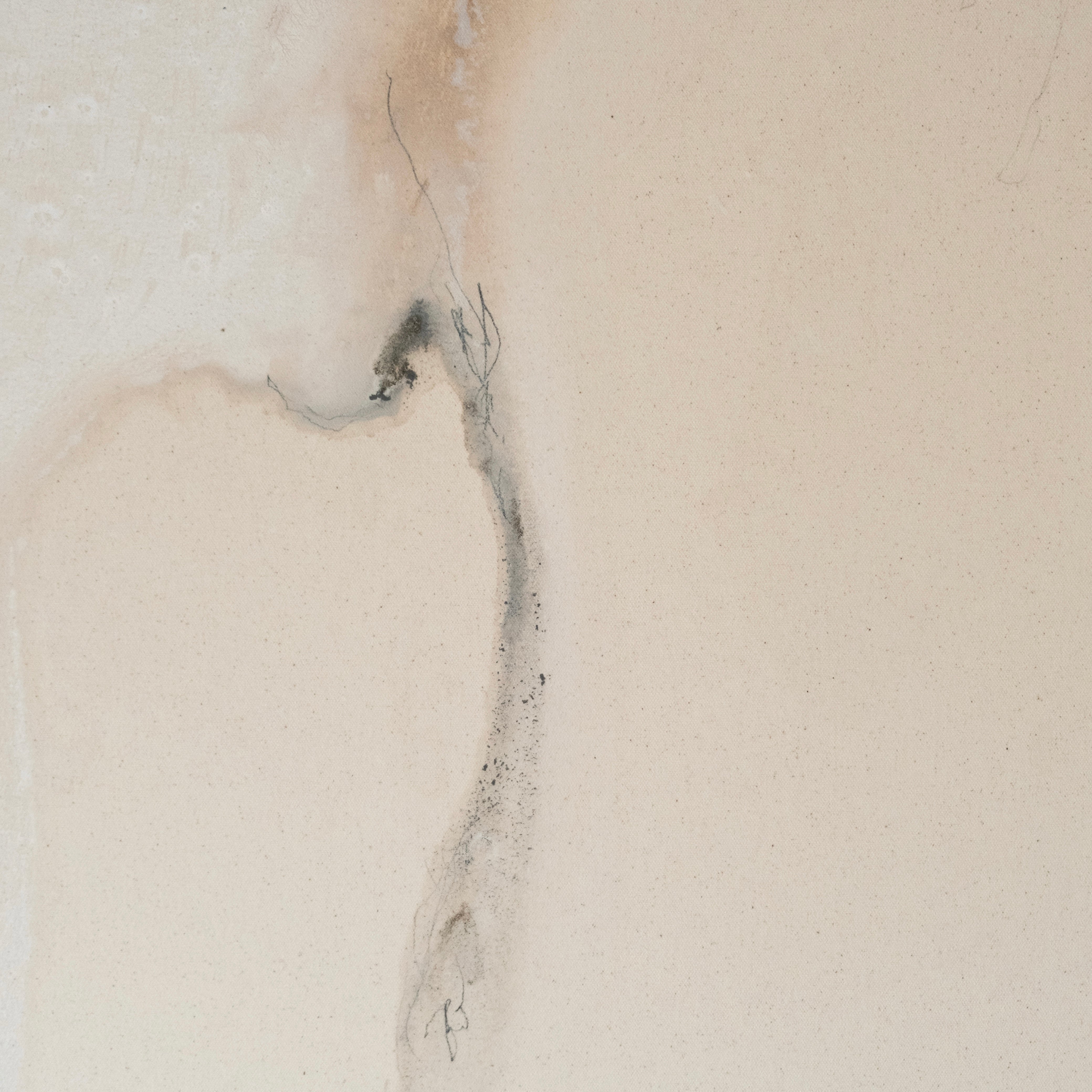 I Met My Peace in Tofino II