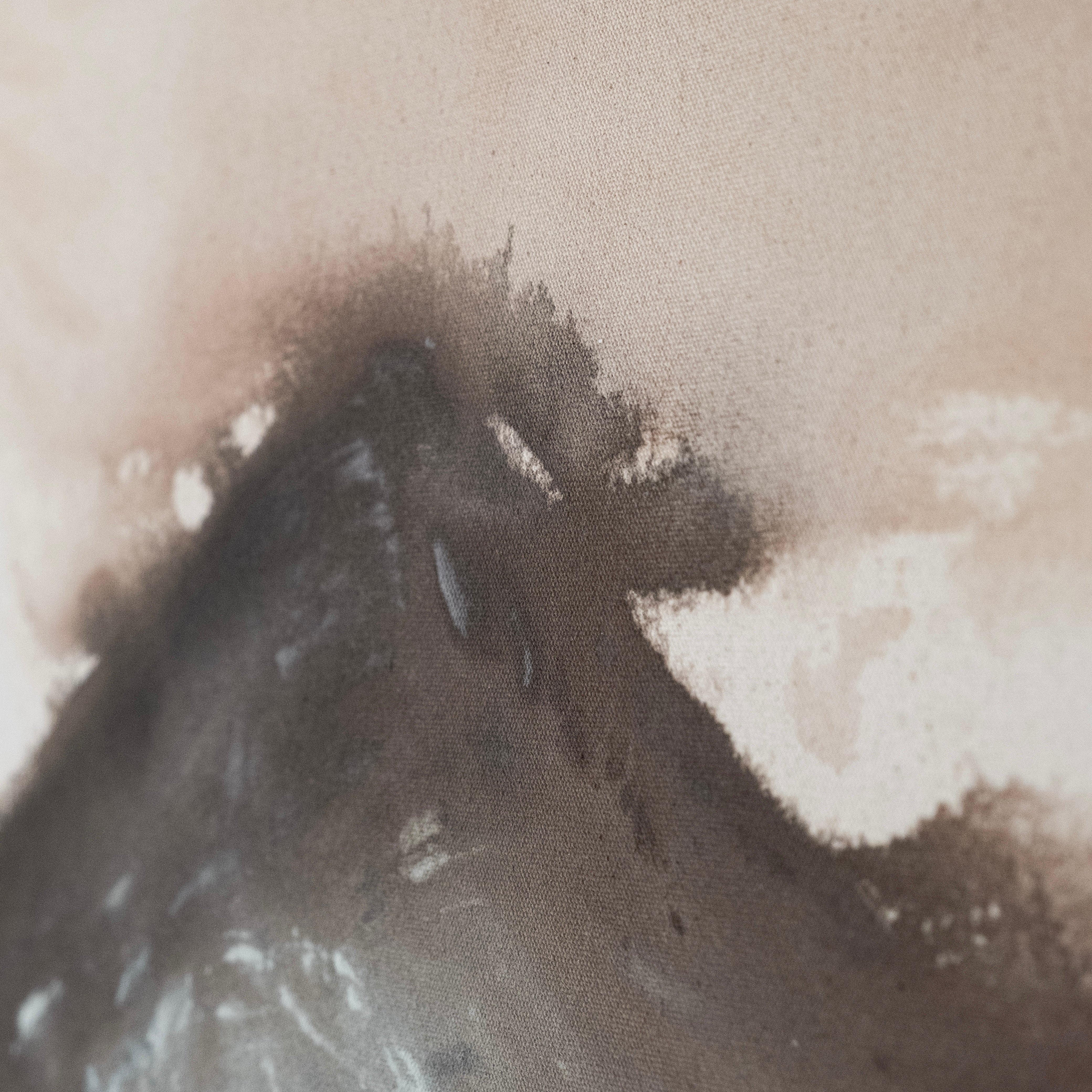 We Are But Tiny Guests Here