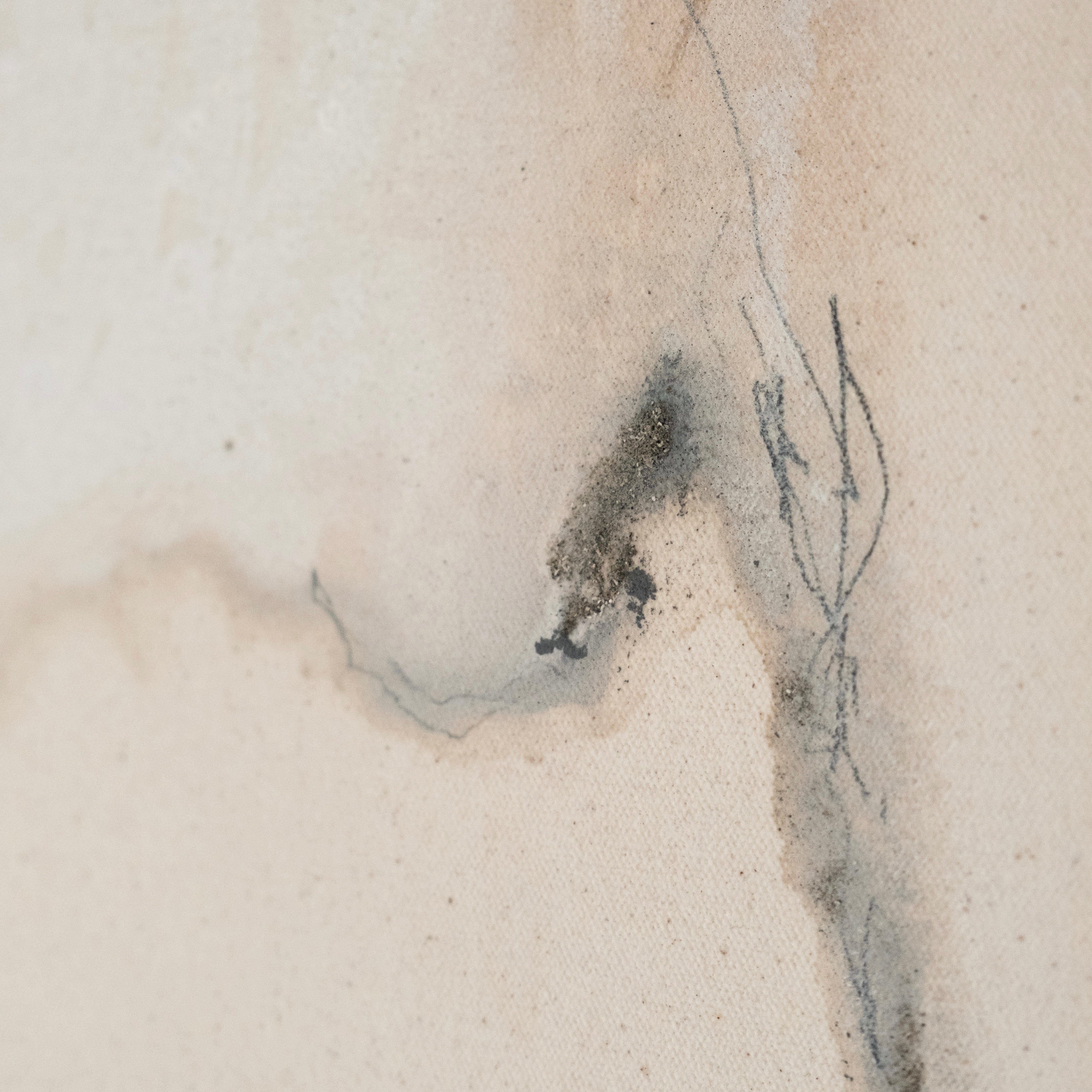 I Met My Peace in Tofino II