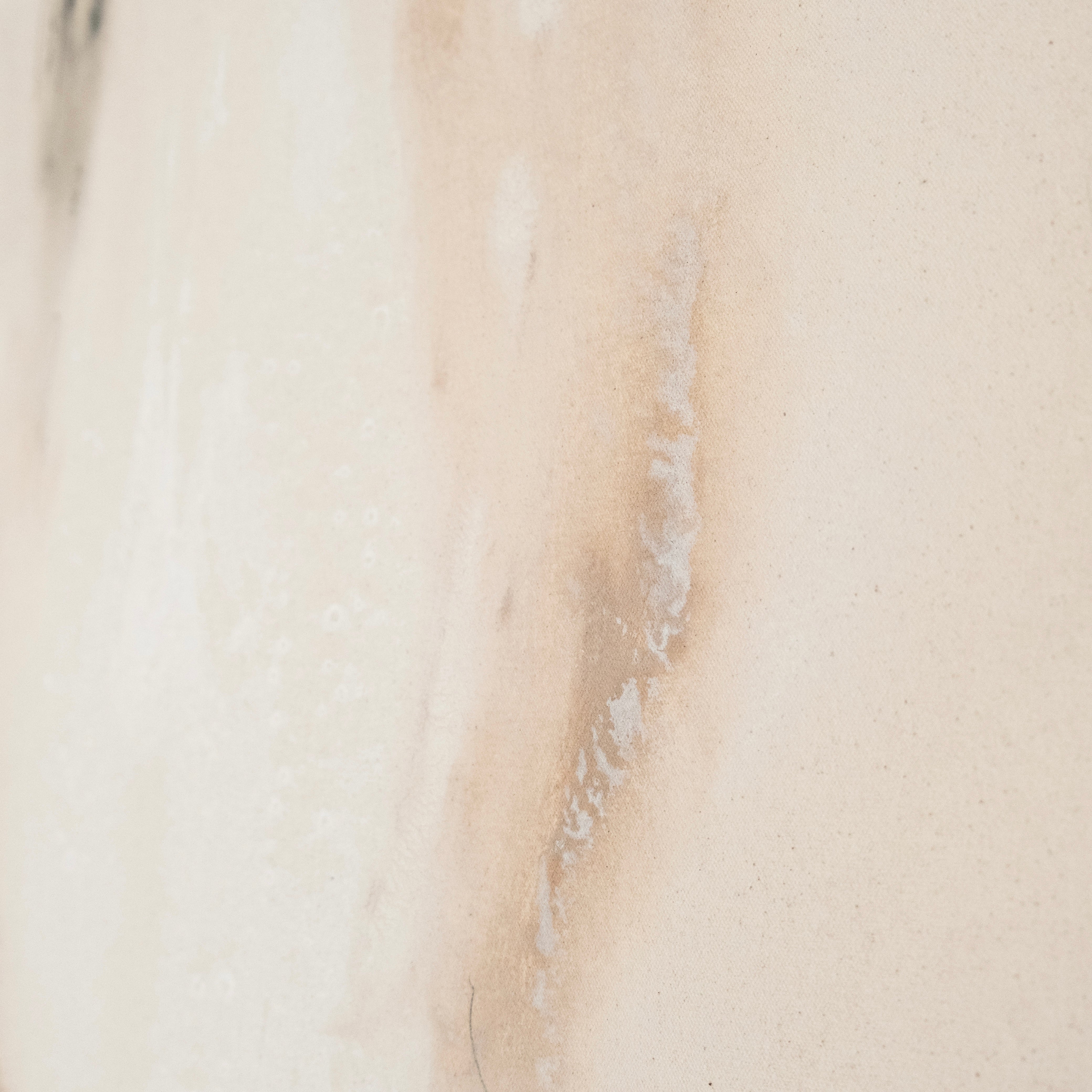 I Met My Peace in Tofino II