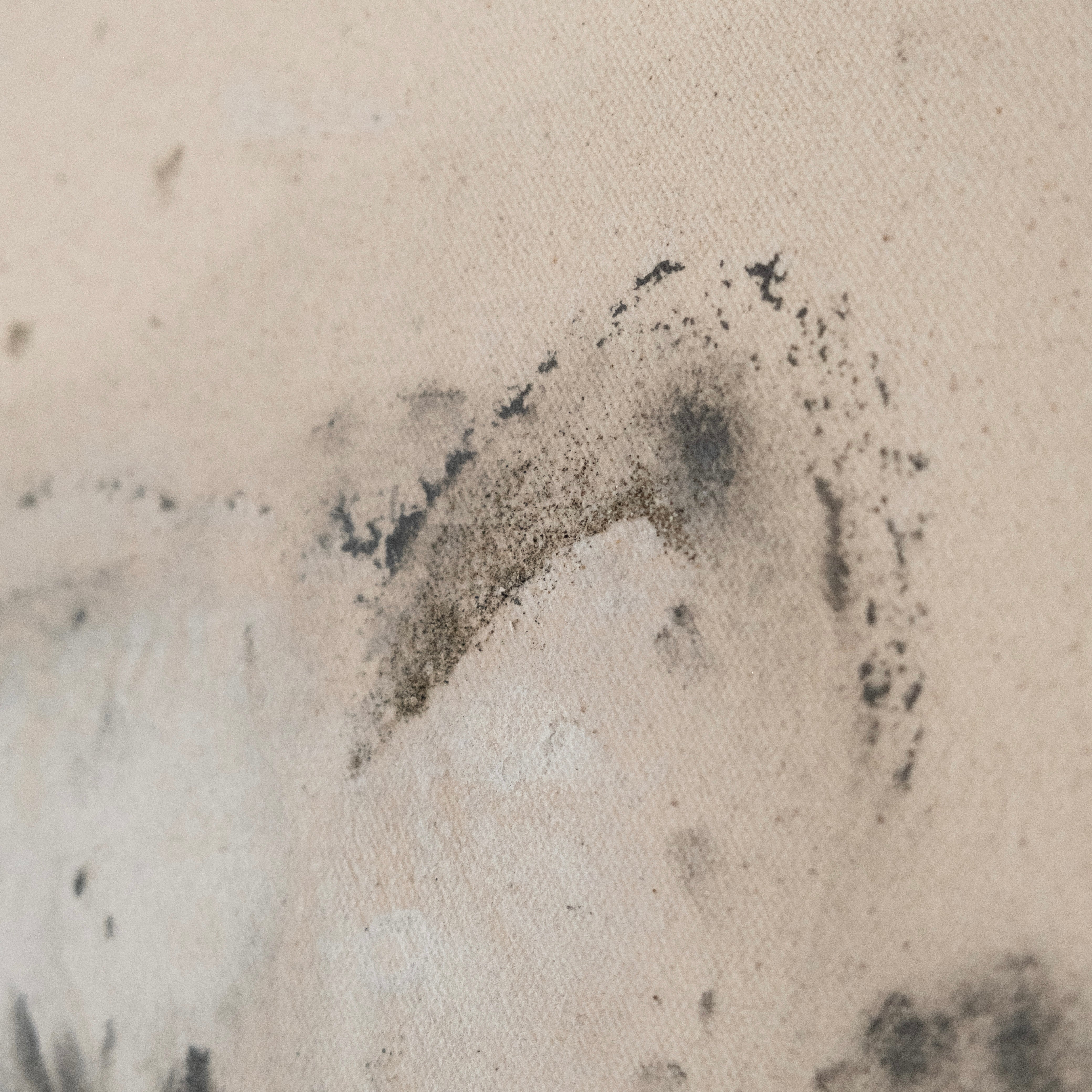 I Met My Peace in Tofino I